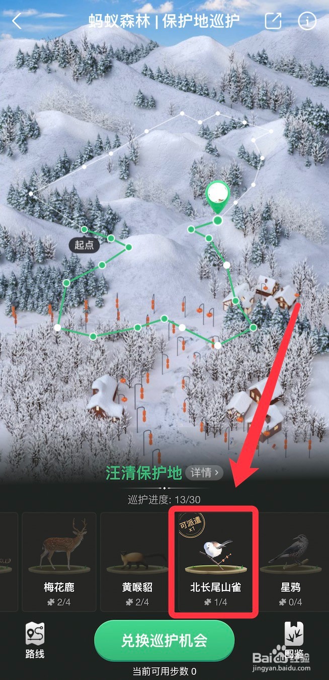 蚂蚁森林保护地动物派遣方法