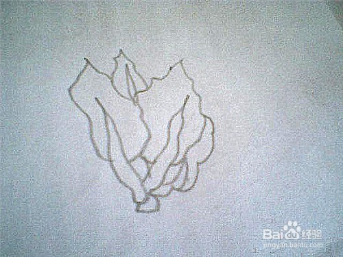 简笔画菠菜的画法
