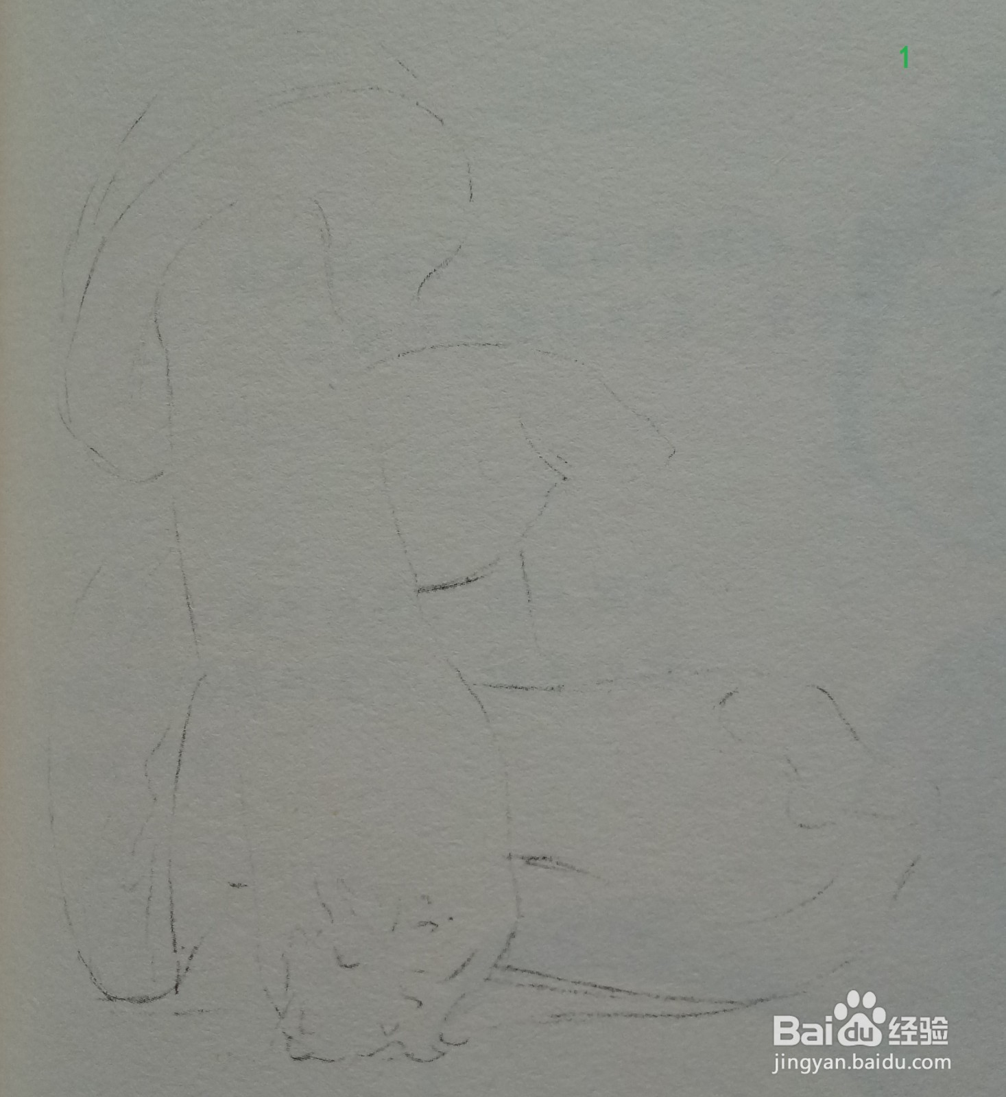 色铅笔绘制蘑菇