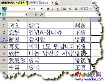 用WPS表格帮哈韩MM背单词
