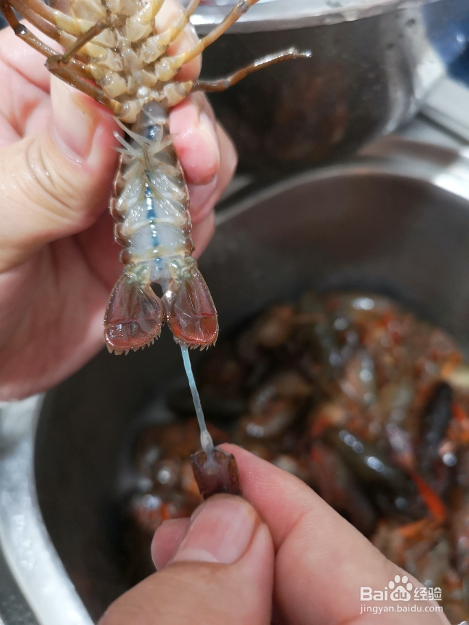 懒人做麻辣小龙虾