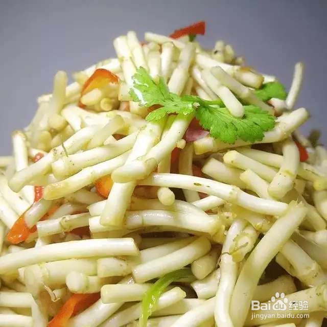 “长寿菜”别出门挖了，阳台种一点，够吃大半年