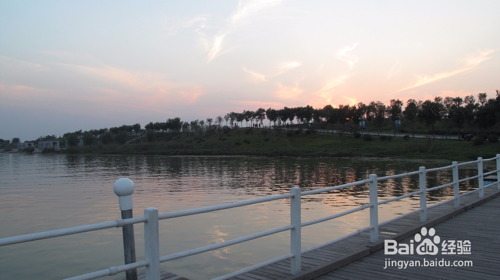 微山湖国家湿地公园美不胜收