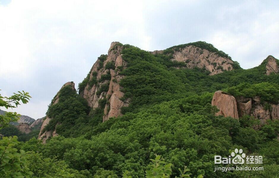 鸡冠山自驾一日游攻略