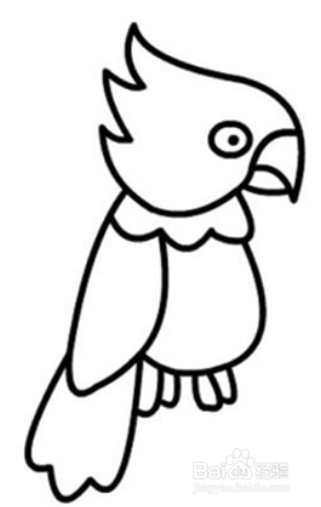 多嘴的鹦鹉简笔画