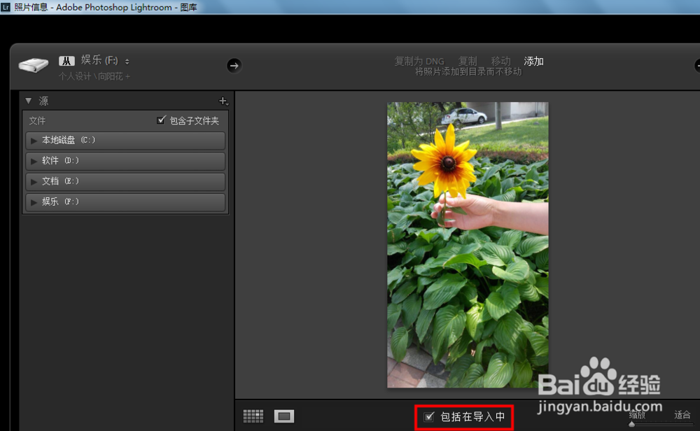 如何让lightroom导入照片时使用预设
