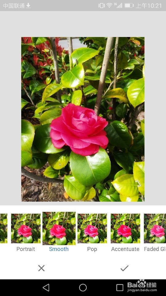 Snapseed软件如何进行照片样式的选择