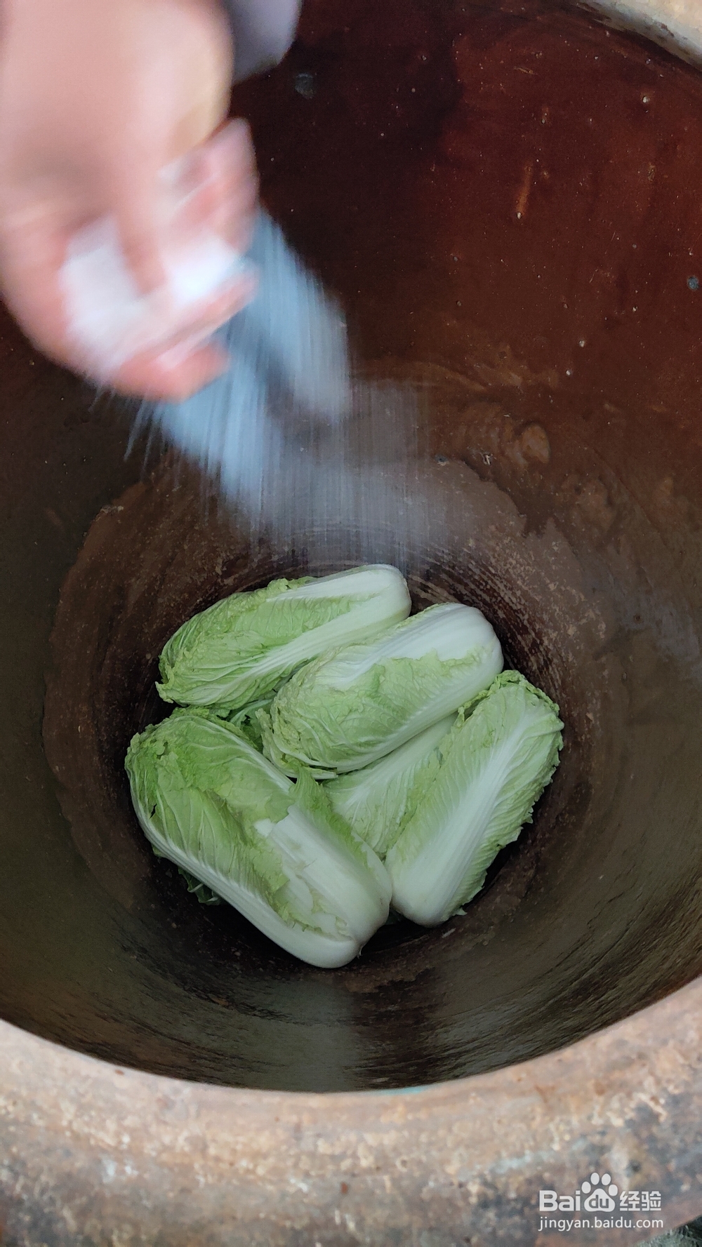 不费事做酸菜