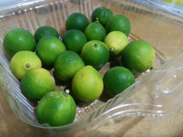 薄荷青橘蜜苏打水