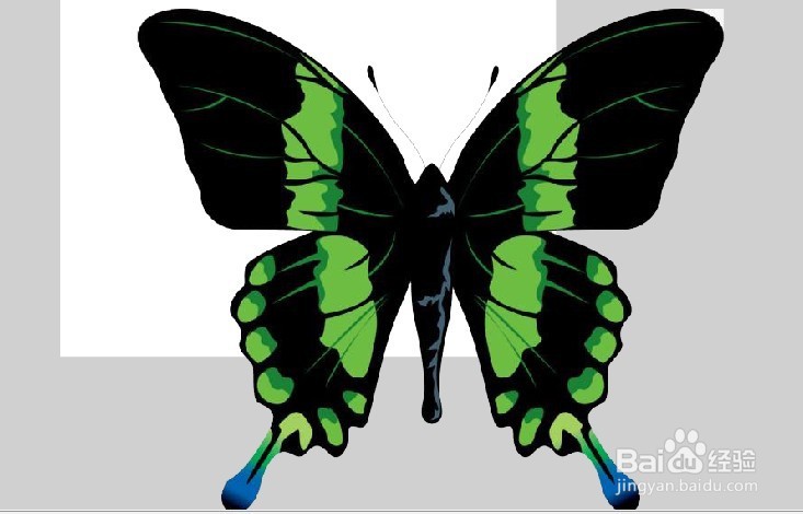flash做个卡通蝴蝶飞舞的动画