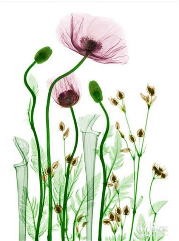 如何与陌生人打交道？