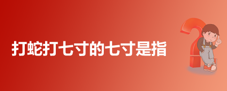 打蛇打七寸的七寸是指