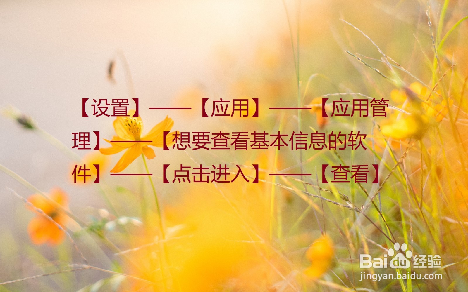 怎么查看手机上某个应用的信息?