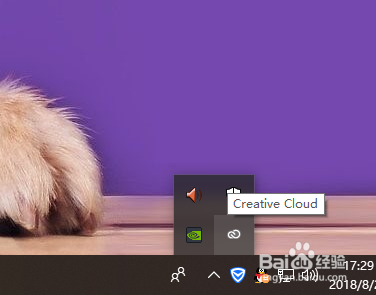 取消Adobe更新的相关通知
