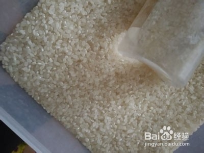 墨鱼海鲜粥的制作方法