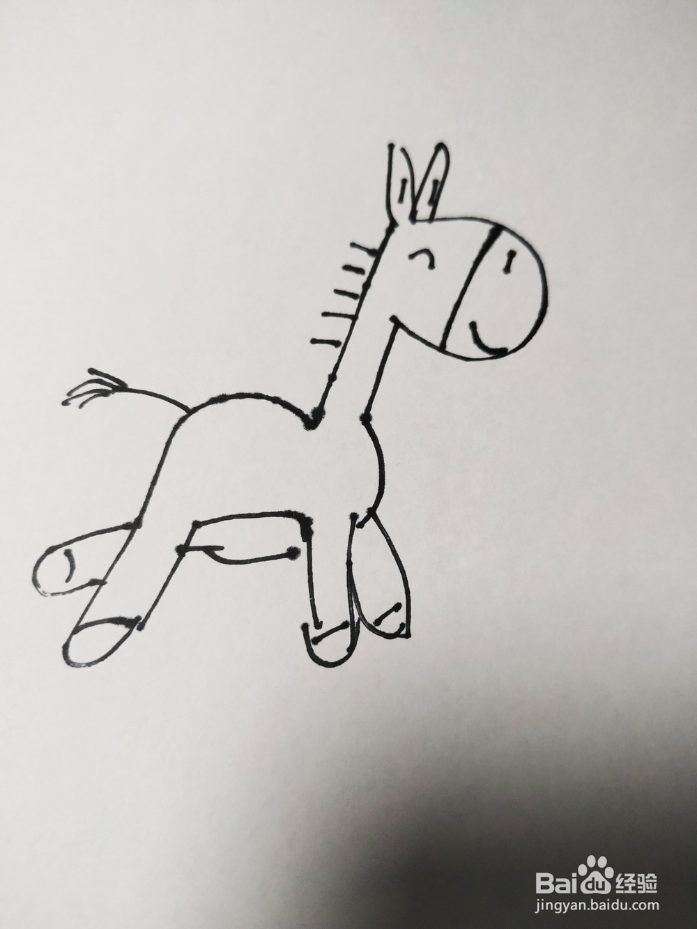 毛驴的简笔画技法4