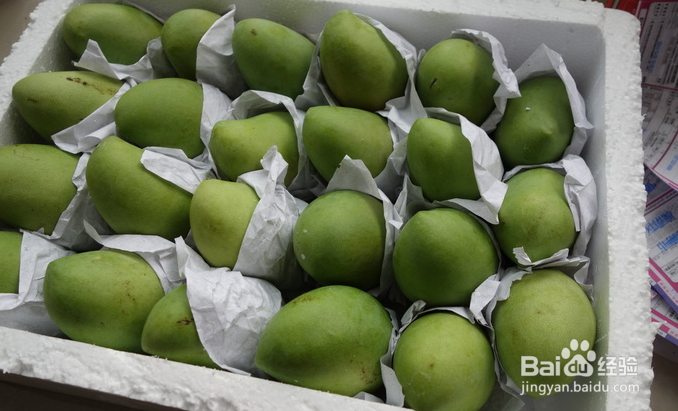 青芒果的食用禁忌