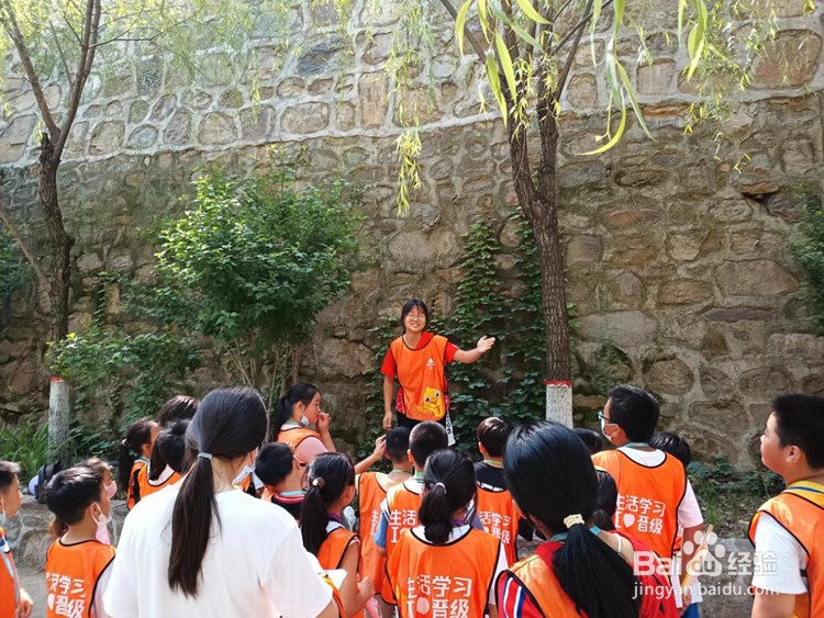 新手加盟儿童托管中心有什么好处？