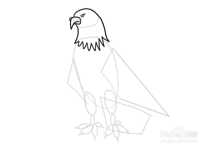 如何画一只卡通老鹰