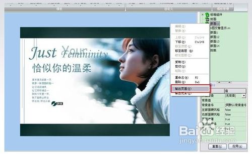 怎样在iebook超级精灵里使用页面功能