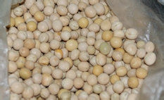 菜豆腐的做法（白菜苔）