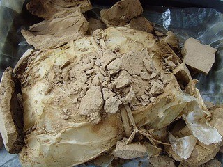 如何在野外做“叫花鸡”