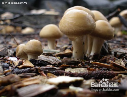 秋冬7种蔬菜,皮肤越吃越白