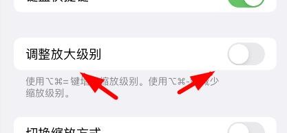苹果键盘快捷方式中的调整放大级别如何关闭
