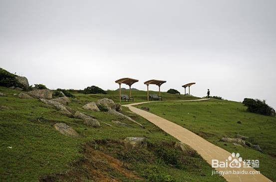 香港塔门岛露营