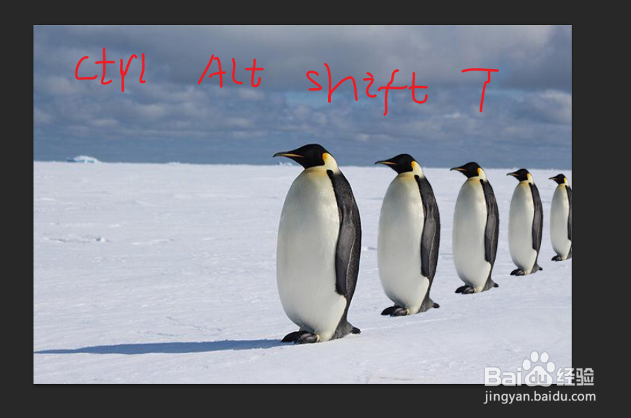ps怎么让一只企鹅变成一排站立整齐的企鹅?