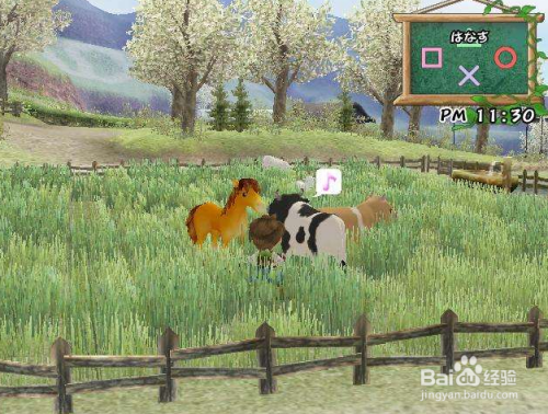 牧场物语美妙人生全攻略指引 百度经验