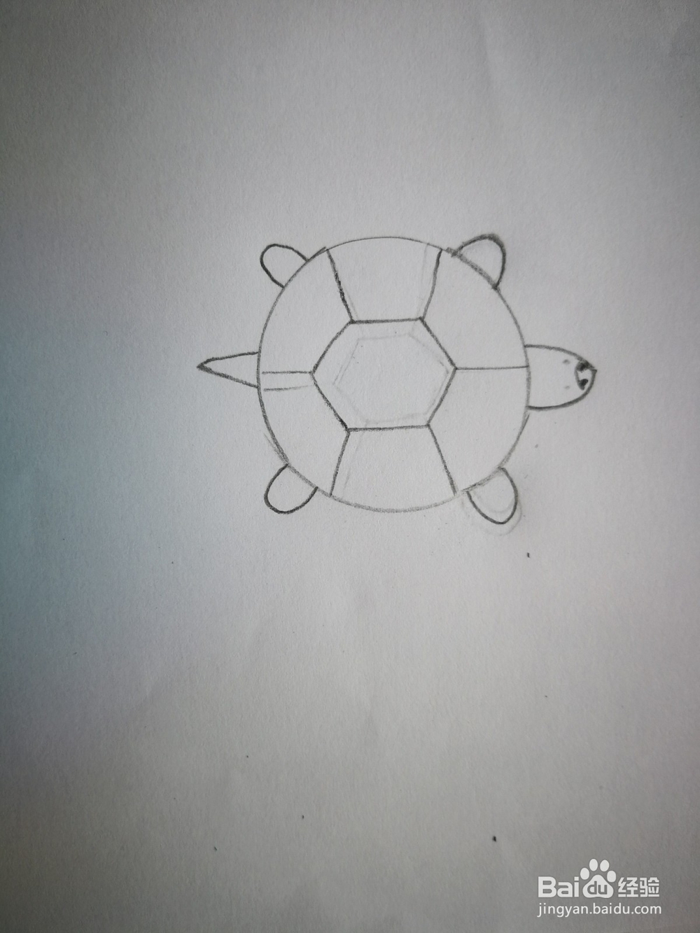 幼儿园作业:给你一个圆形,可以画出什么图画?