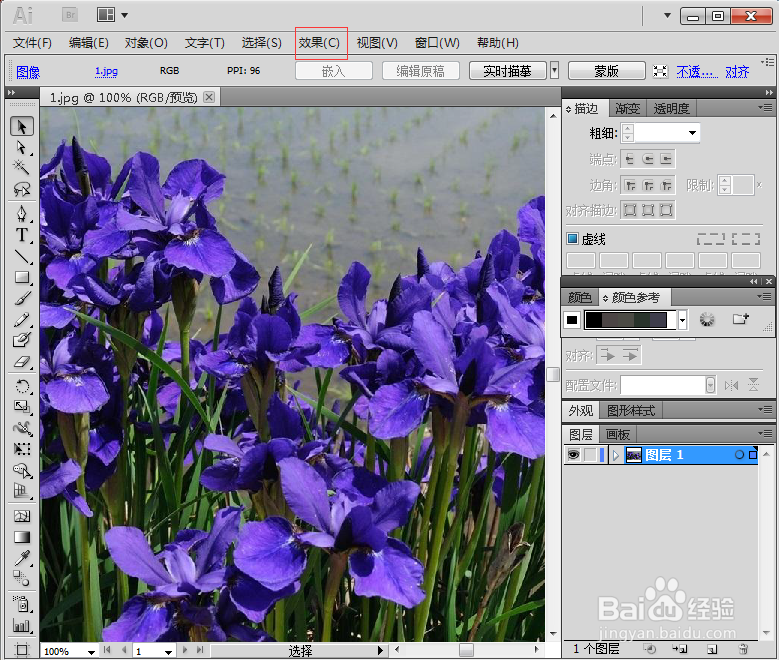 怎样在AI中给图片添加墨水轮廓滤镜