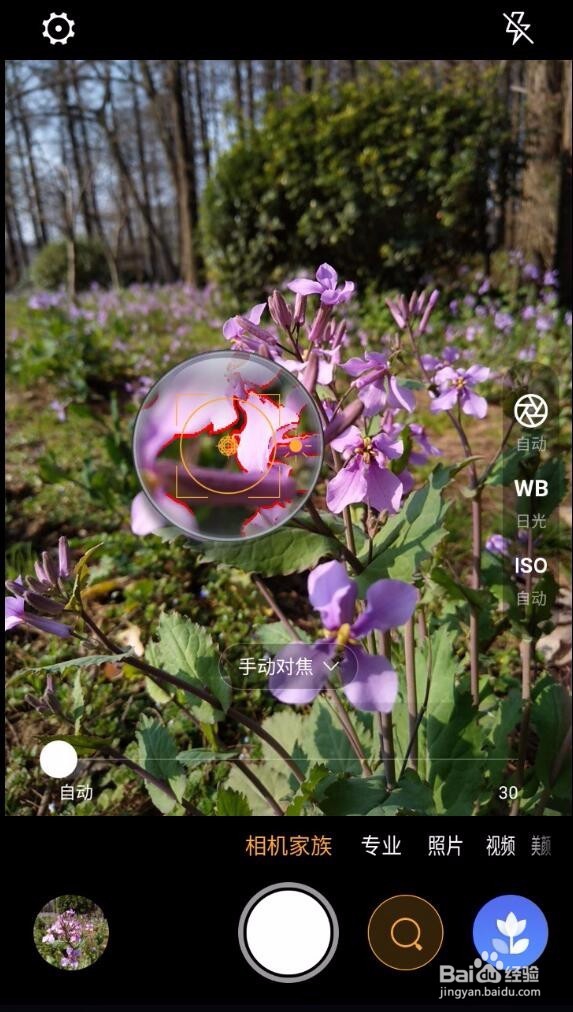 手机拍照哪个最好？我来分享一下努比亚的效果