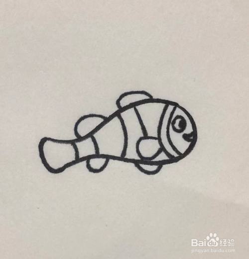 怎么画小丑鱼的简笔画