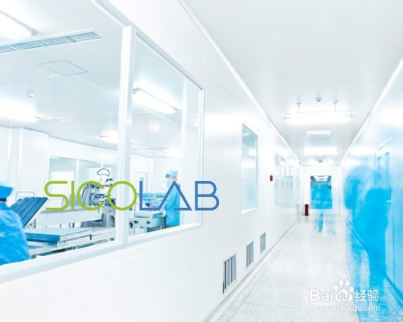 SICOLAB生物安全实验室设计