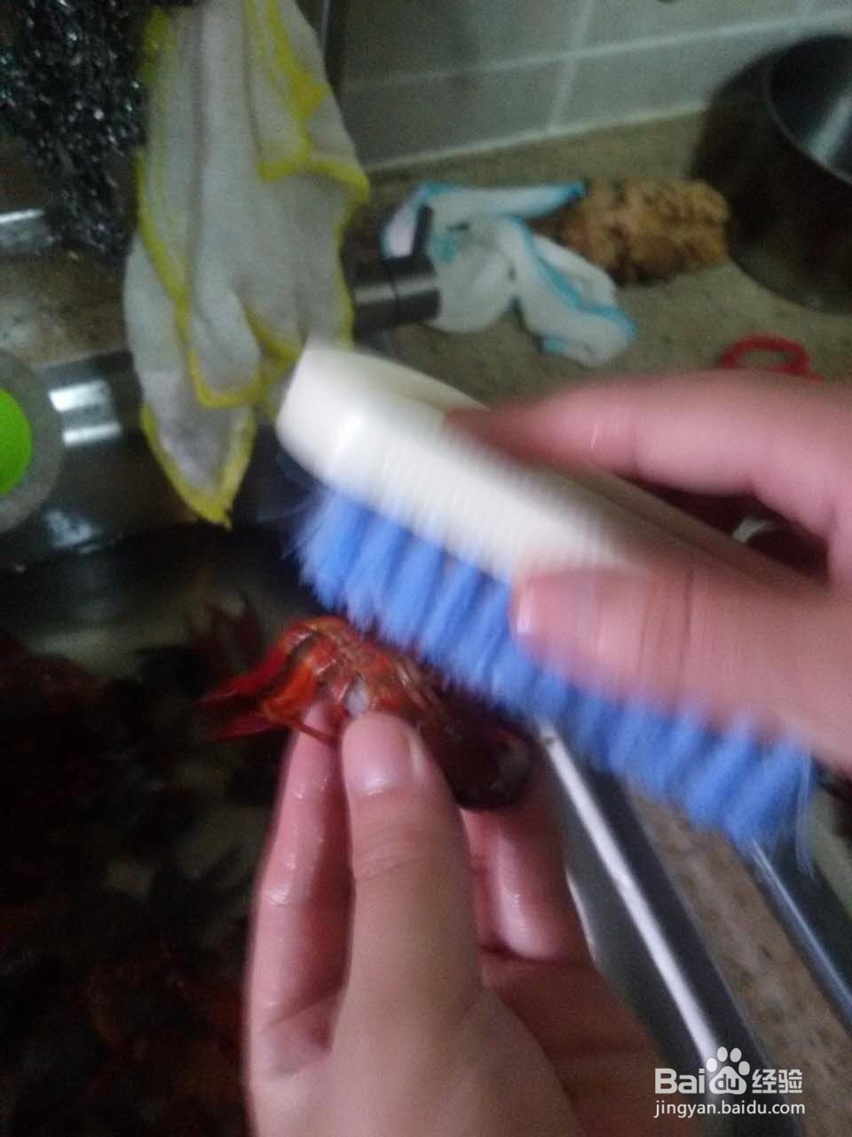 如何清洗小龙虾?