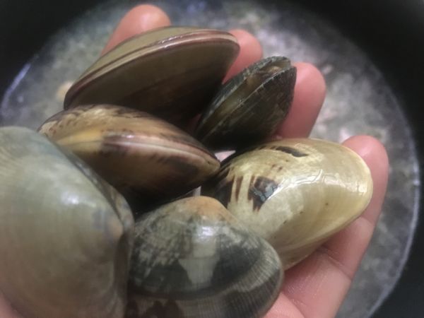 泡菜海鲜菌菇火锅