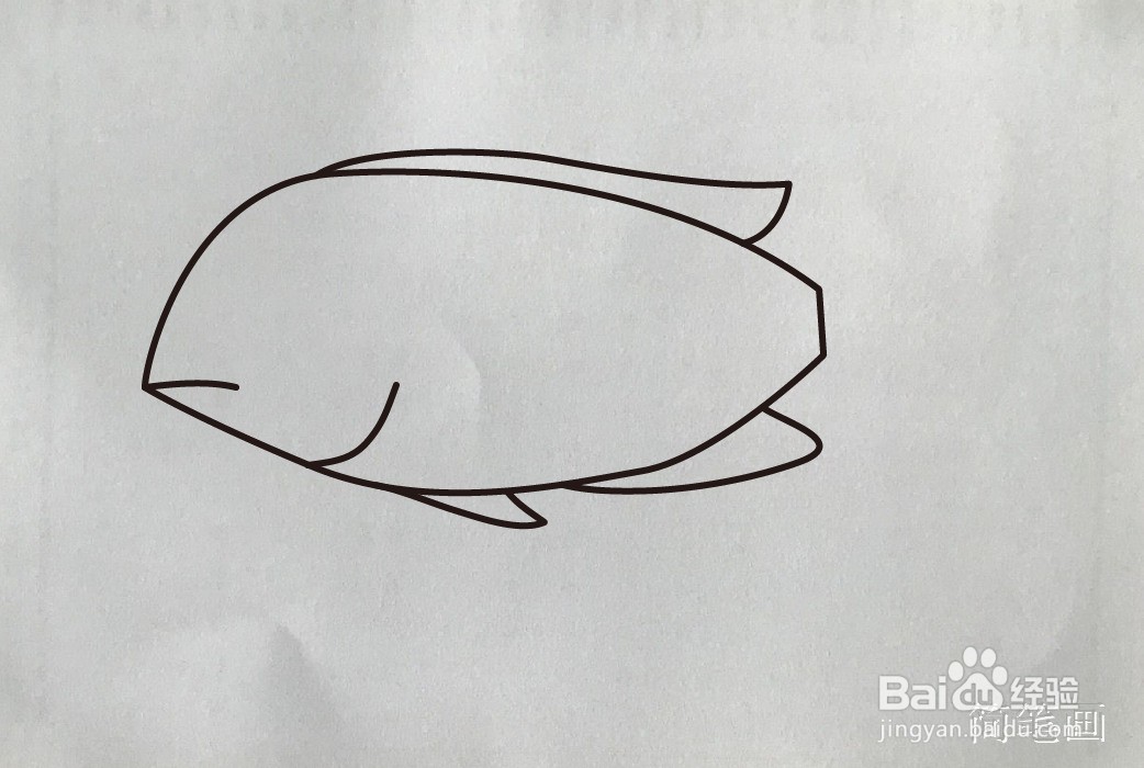 【简笔画】利鱼的画法