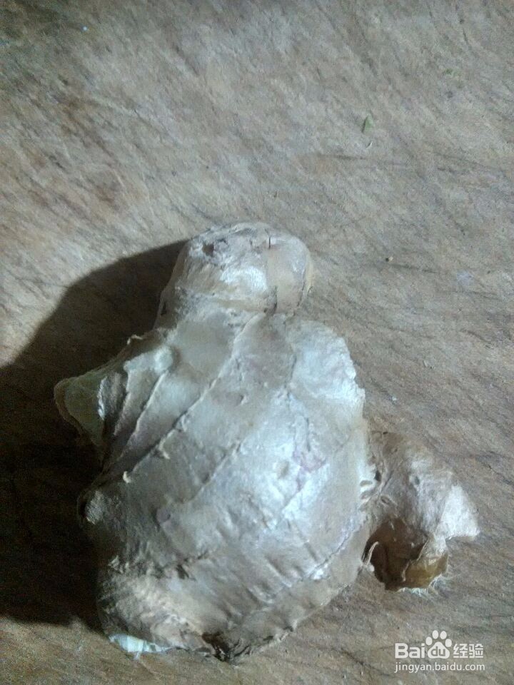 主食白菜包子