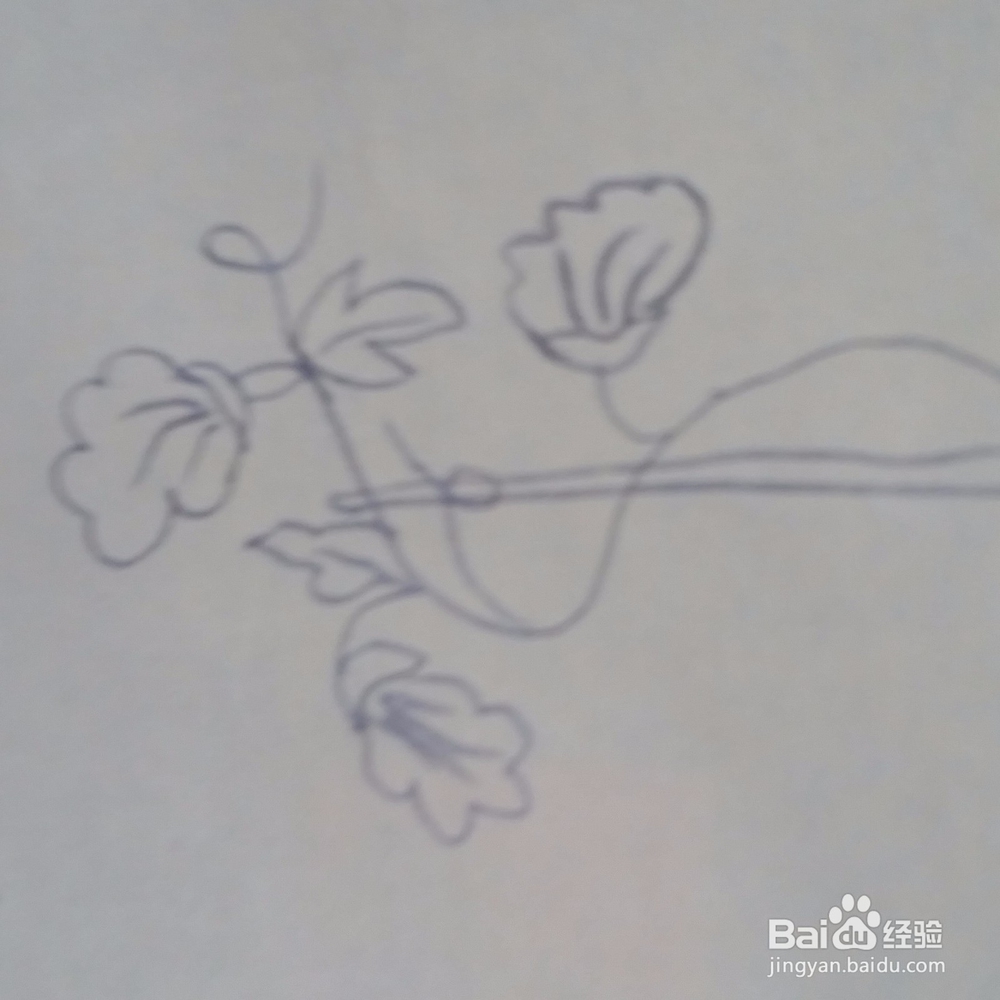 儿童简笔画牵牛花