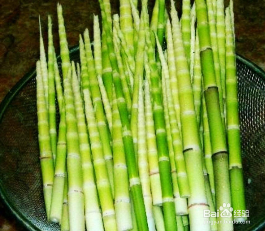 吃鲜竹笋对身体有哪些好处和坏处