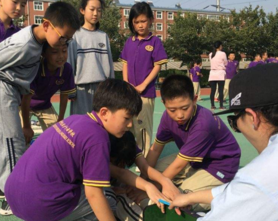 小学考试达标什么意思