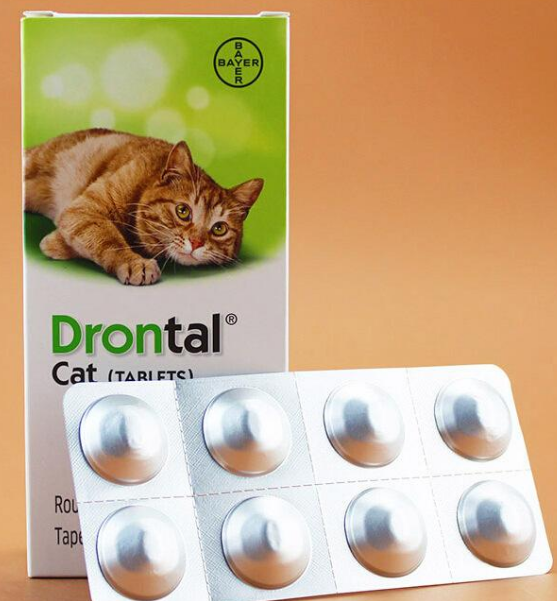 怎么给狗狗做体内驱虫