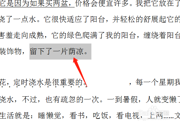 word里面怎么加横线