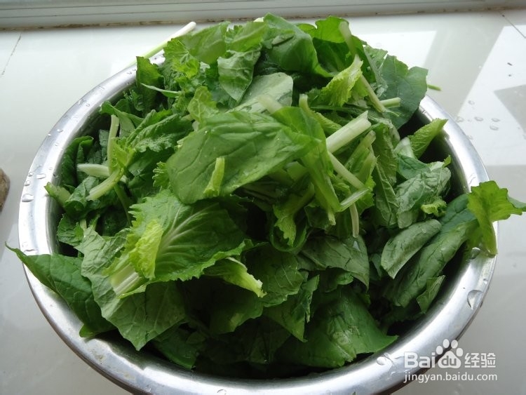 滑子蘑炒小白菜的做法