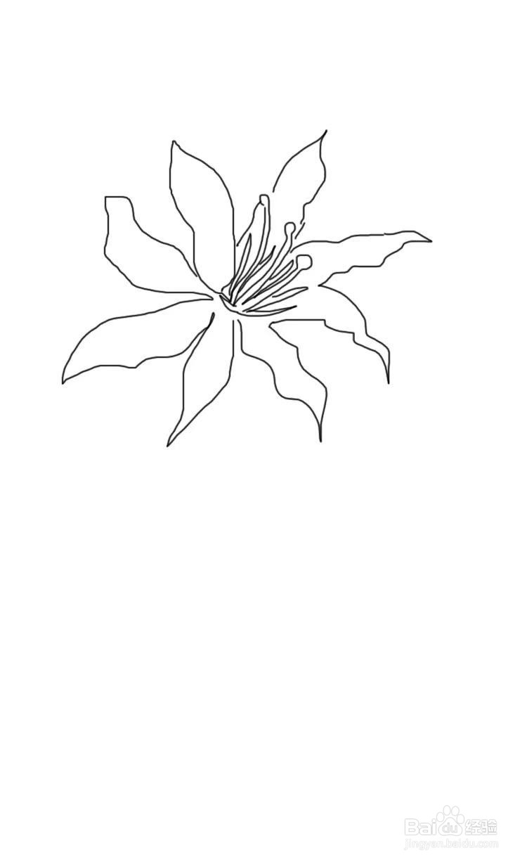 简笔画教程之花束