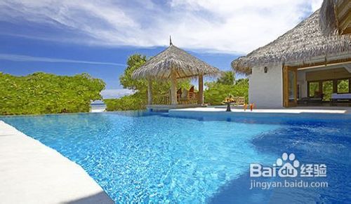 马尔大夫-神仙珊瑚岛