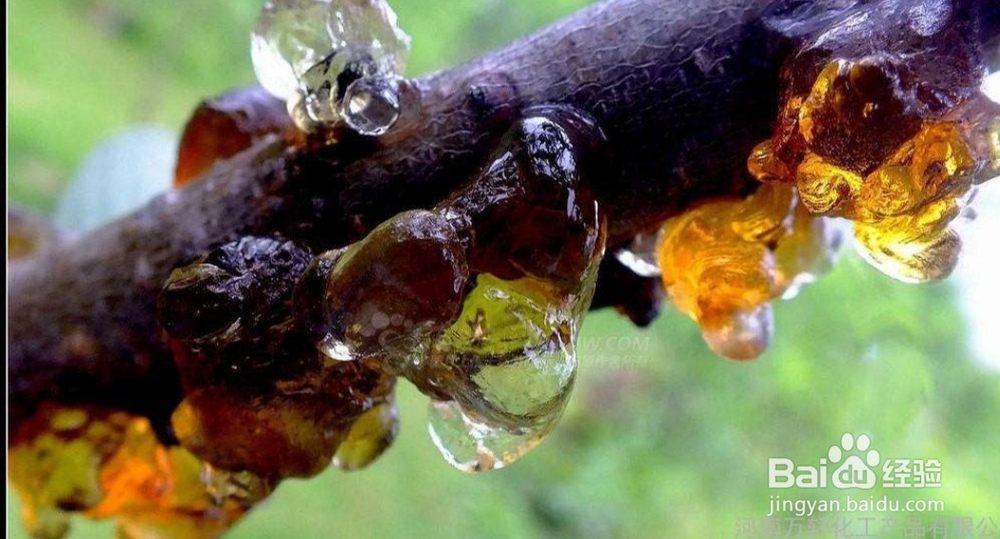 冬天来了，怎么补身体呢？