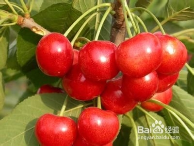 10种食物影响人的情绪